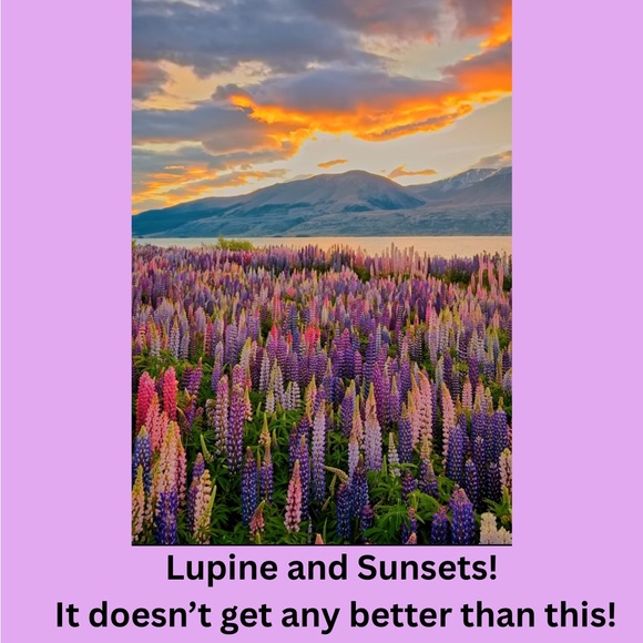 Welcome Spring! - Picture 1 of 1